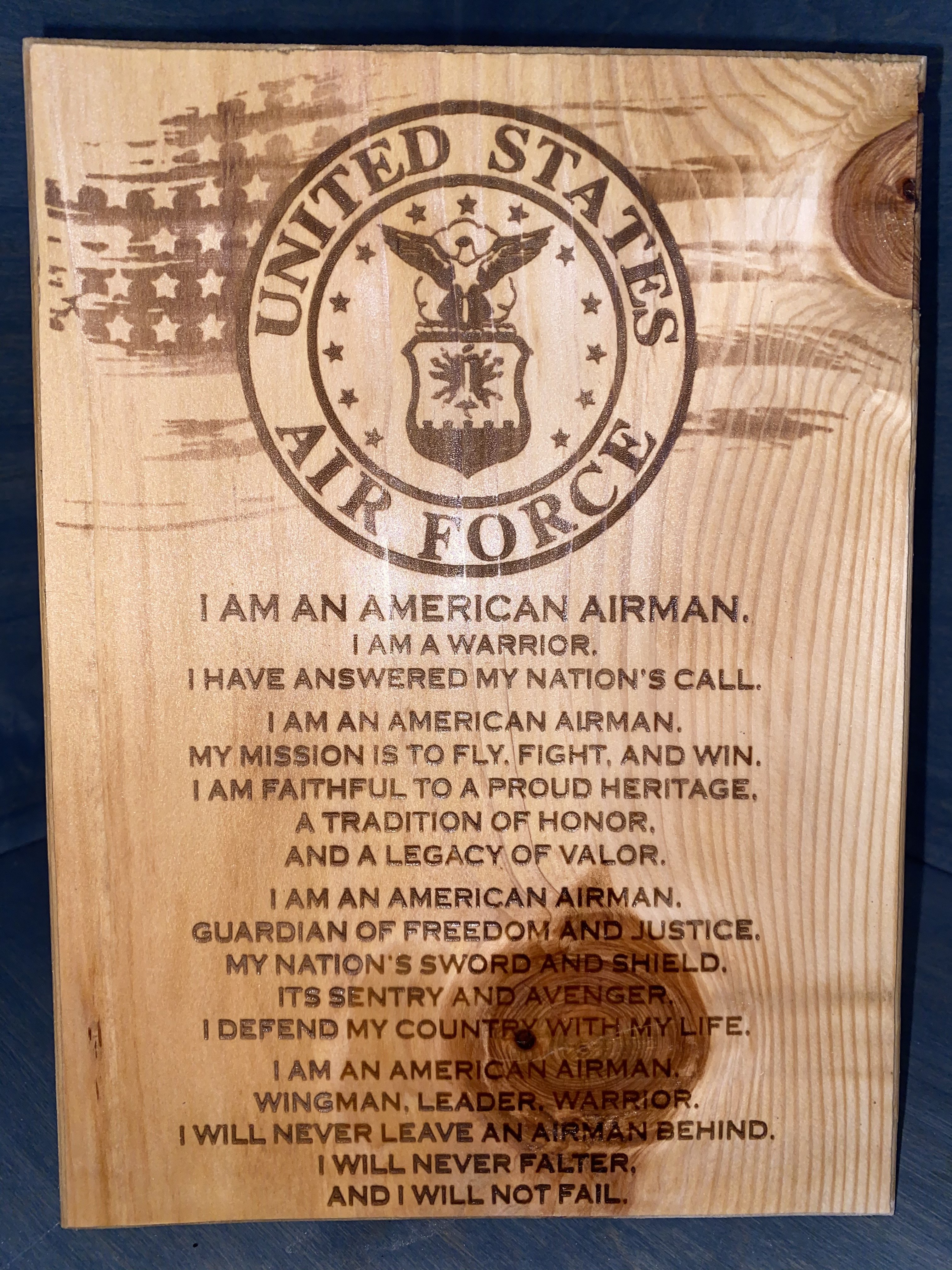 US AIR FORCE Plaque