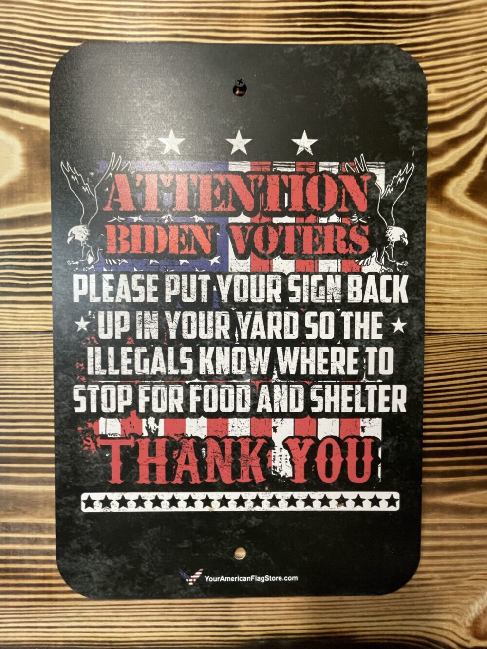 Biden Voters Garage Art