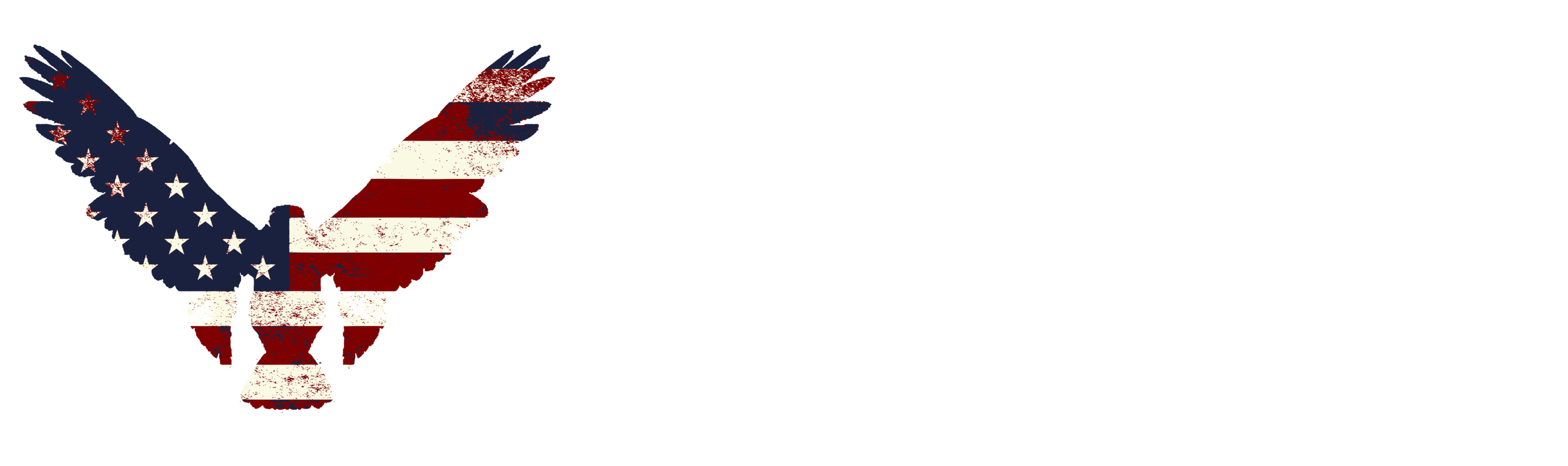 Your American Flag Store Top Banner Logo